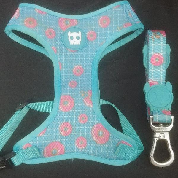 conjunto zeedog