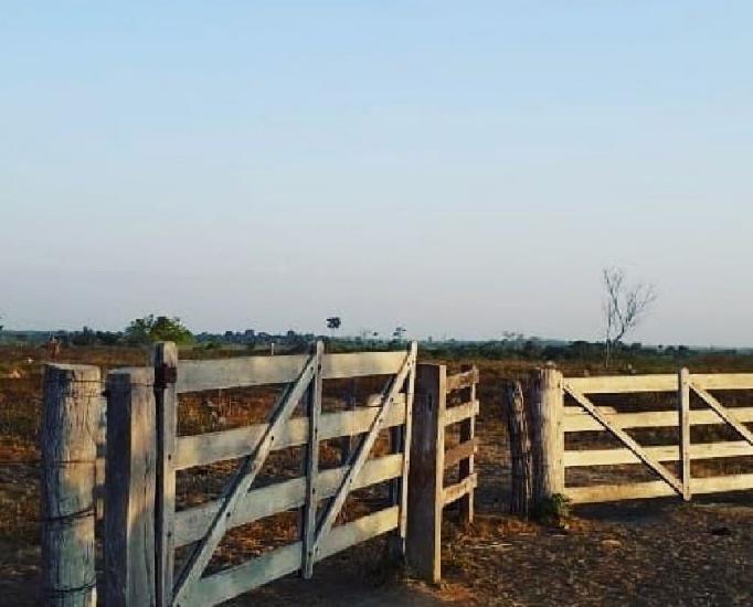 Fazenda de 800 Alqueires para pecuária no Pará