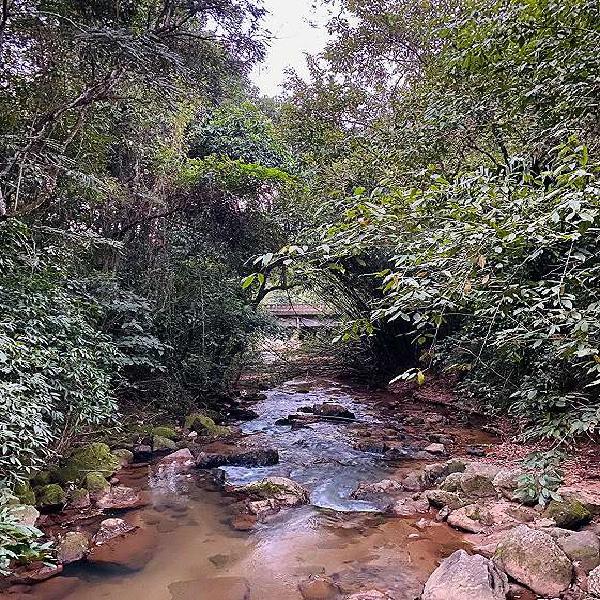 Fazenda/Sítio/Chácara para venda com 180000 metros