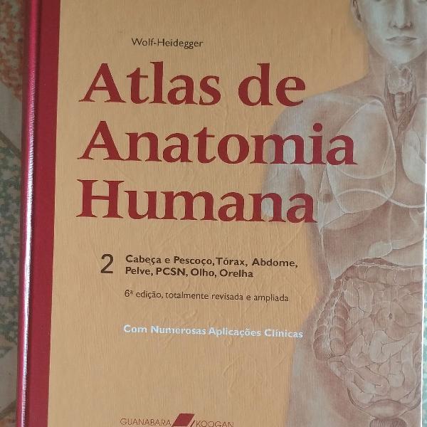 atlas anatomia