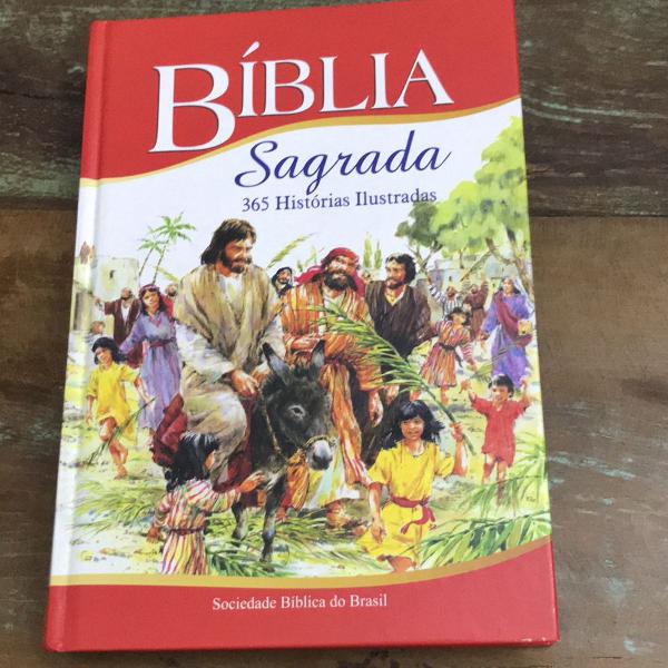 livro bíblia sagrada 365 histórias ilustradas