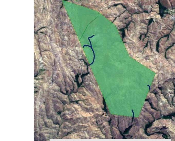 1100 Ha para Reserva Legal