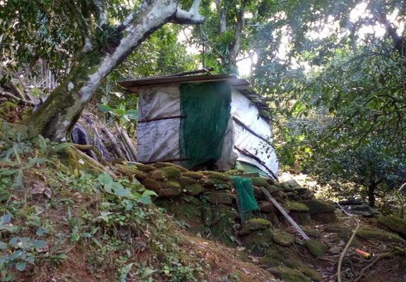 Sitio para venda ou troca.