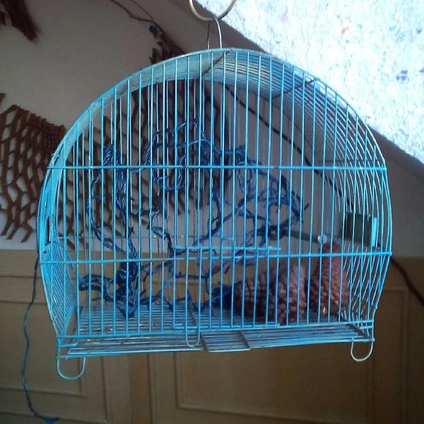 gaiola azul para passarinho ou decoração . pet
