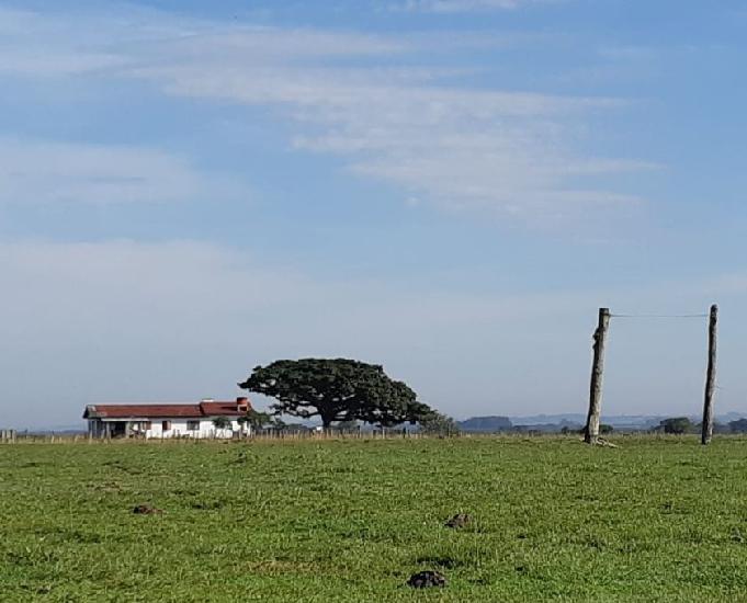 Fazenda 583 ha Soja e Pecuária Capão da Porteira Capivari