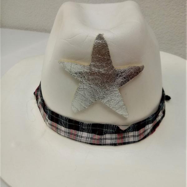 Chapéu Cowboy Prateado