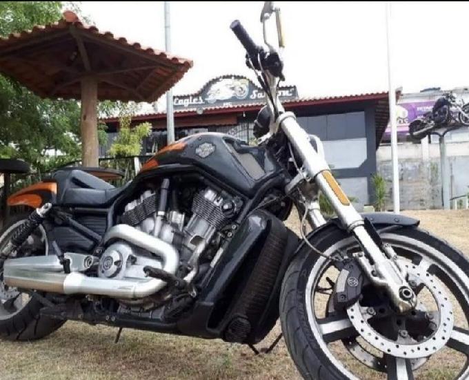 Harley-Davidson musch