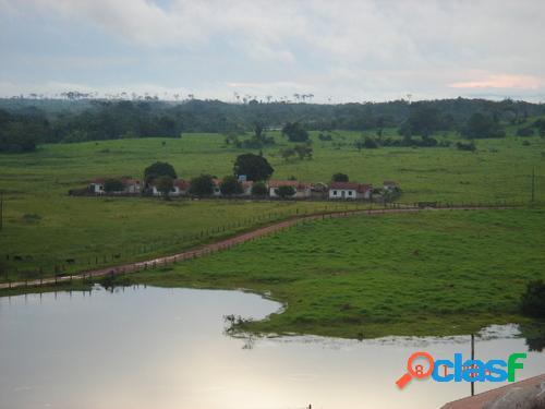 FAZENDA COM 149.132 HECTARES