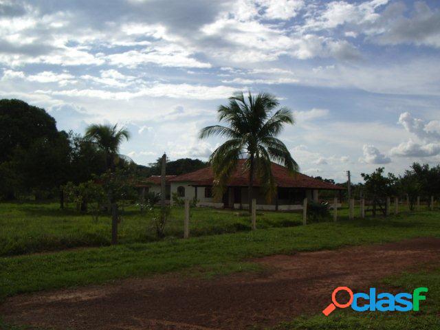 FAZENDA COM 81.000 HECTARES NO MATO GROSSO