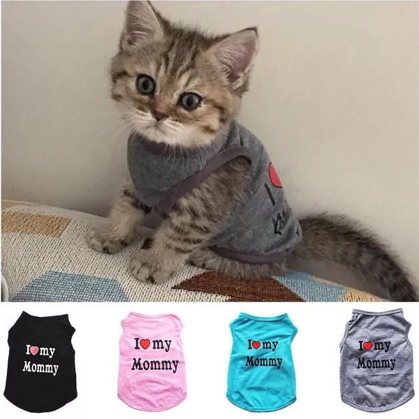 camisa roupa pra pet gato com dizer