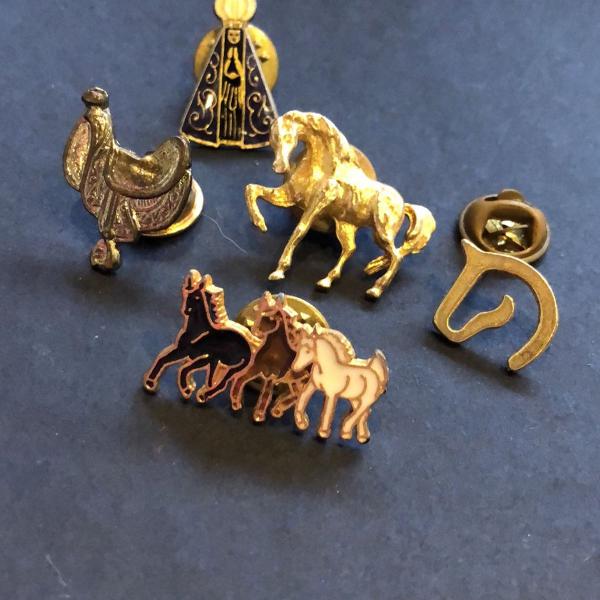pin cavalo