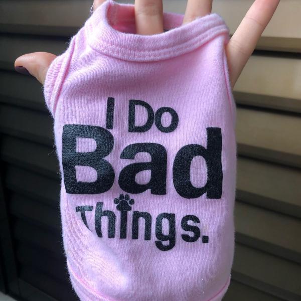 roupinha pra cachorro: i do bad things