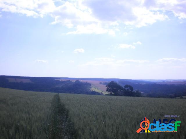 Fazenda Venda - São Miguel Arcanjo - SP