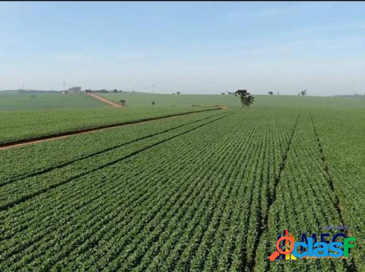 Fazenda a venda com 110 alqueires em Itaberá SP