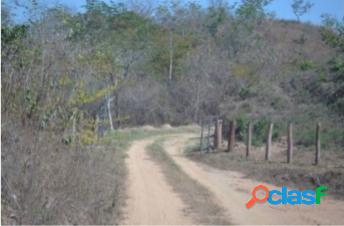 Finca La Culata 580 mt2 $ 195.500