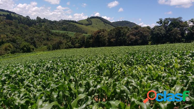 Ótima fazenda de 41 hectares em Ressaquinha-MG