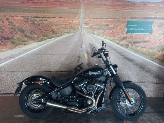 Harley-Davidson - Street Bob