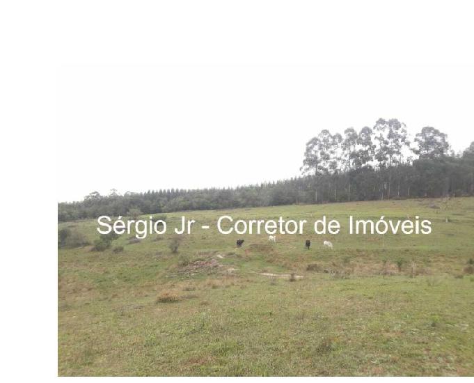 Sítio com 7h e 2 casas+arroio+açude em Triunfo