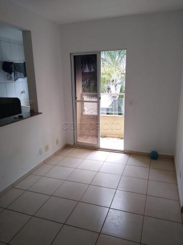 Apartamento para alugar com 2 dormitórios cod:L9487