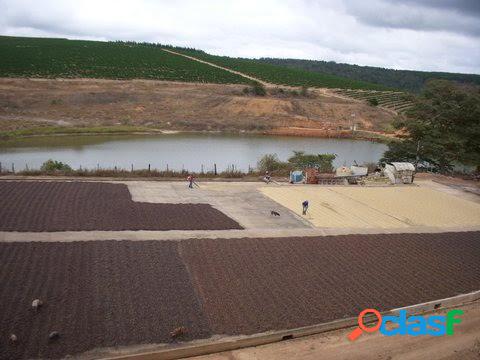 FAZENDA - NOVO CRUZEIRO - MG