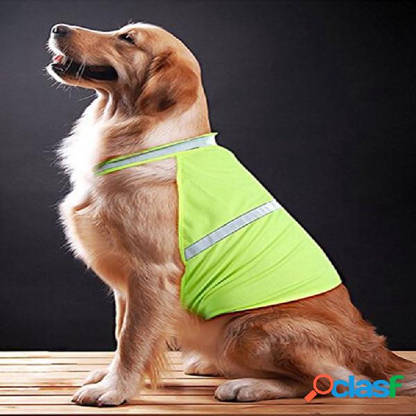 2 cores animal de estimação Cachorro roupas noturnas