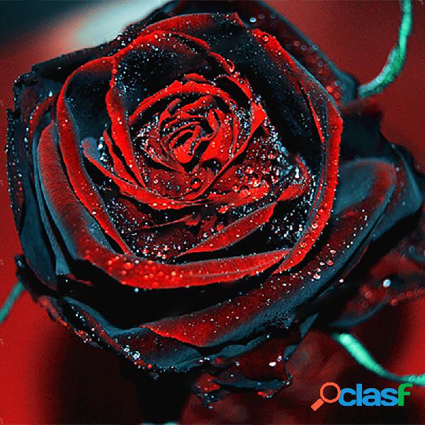 50 Pcs Rare Rose Bonsai Rosa Negra Flor Com Borda Vermelha