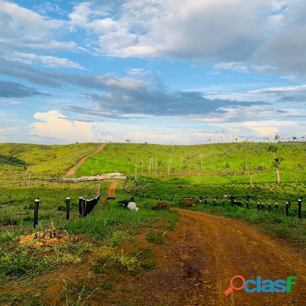 Fazenda no Pará. Pacaja