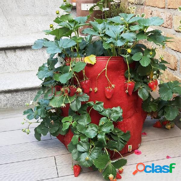 Multi Bolsos Batata Morango Plantador Bolsa Varanda Ervas
