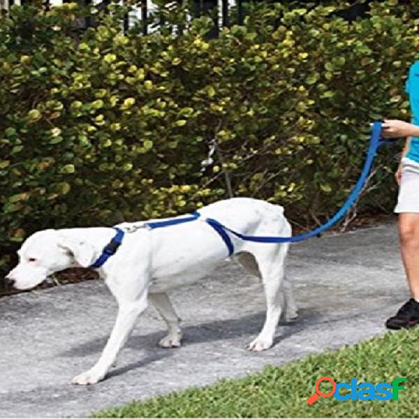 Pet Cachorro Blue Trainer Cachorro Trens da coleira
