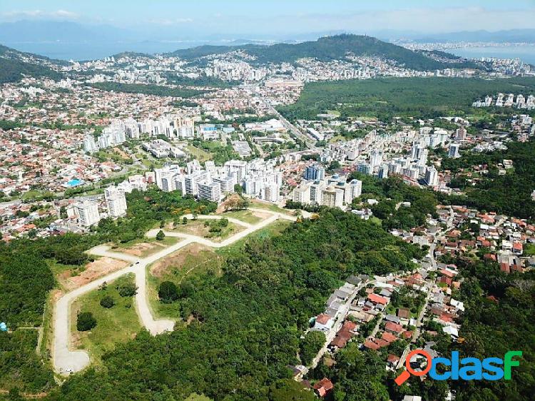 Terreno - Venda - Florianópolis - SC - Itacorubi