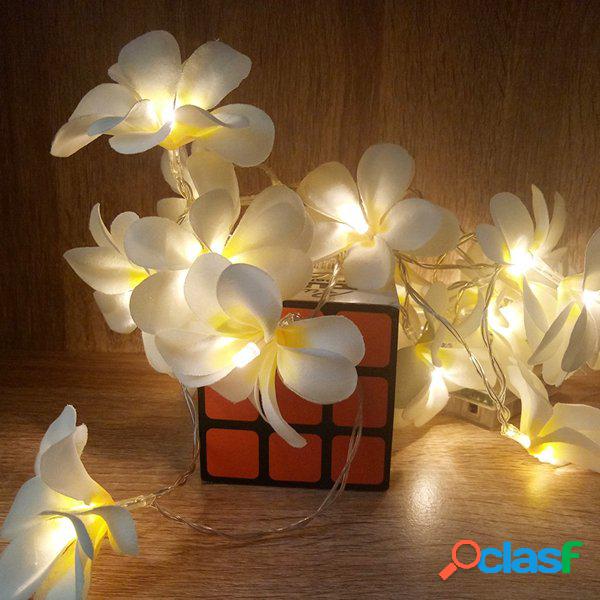 Alimentado por bateria 3M 5M Frangipani em forma de luz