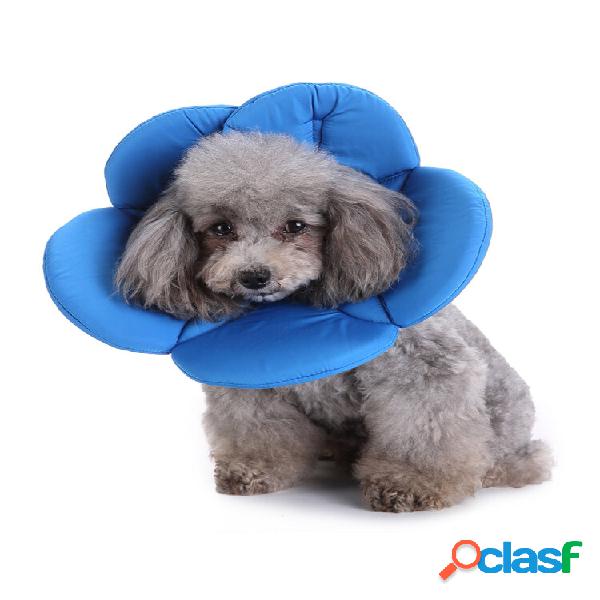 Blue Pet Cachorro Cat Elizabethan Collar Filhote de Cachorro