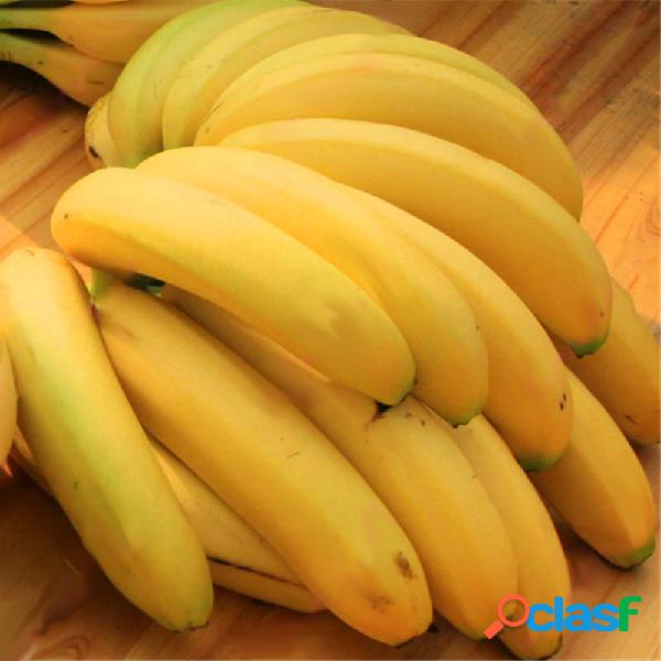 Egrow 200Pcs Graden Sementes de banana Ao ar livre Frutas