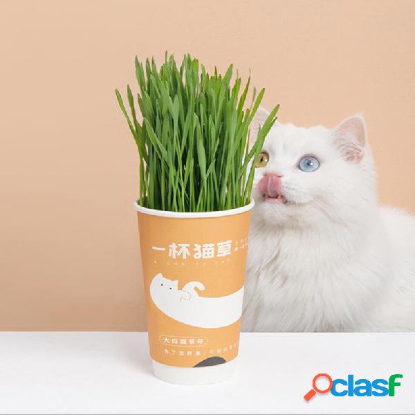 FURRYTAIL um copo de grama de gato para sementes de bola de