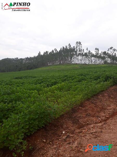 Fazenda