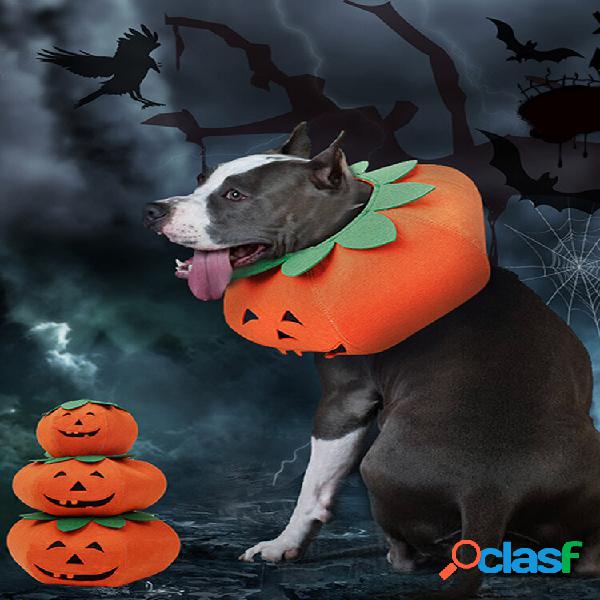 Halloween Pumpkin Cachorro Dress Up Multifuncional Cachorro
