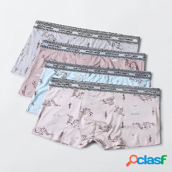Multipacks masculinos, presente Caixa algodão animais