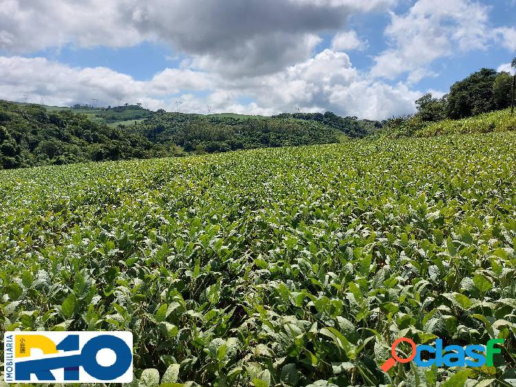 Sitio a venda área de 6 Alqueires com benfeitorias 10 Km de