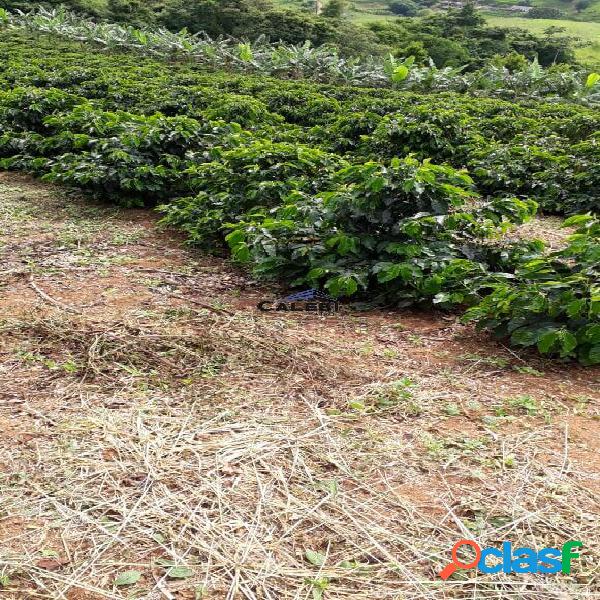 Sitio de 4 alqs em Andradas a venda