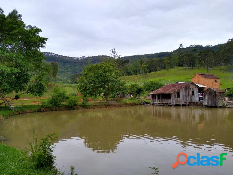 Sítio - Venda - Apiuna - SC - Rio Novo