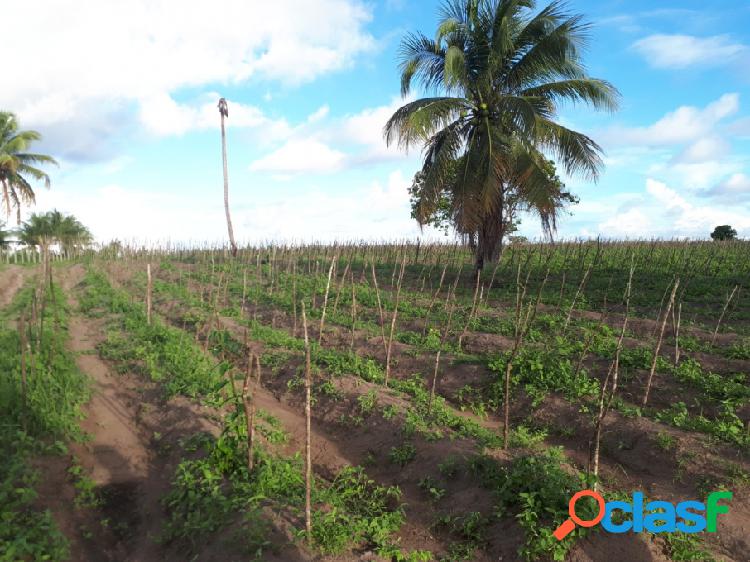 Sítio - Venda - Conde - PB - Centro