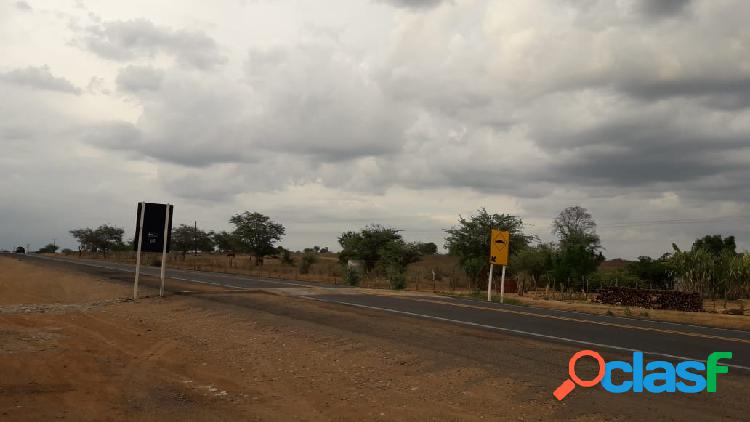 Terreno - Venda - Tucano - BA - Zona Rural