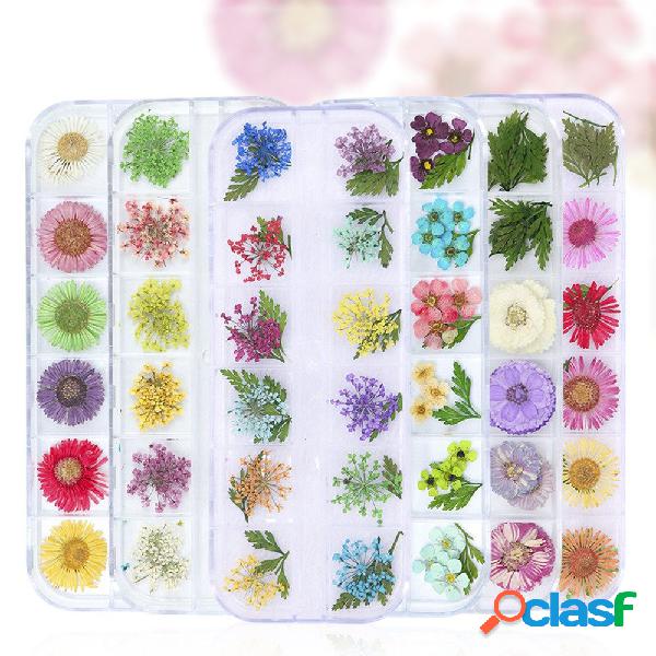 Unhas Acessórios para flores de decoração 12-Grade Caixa