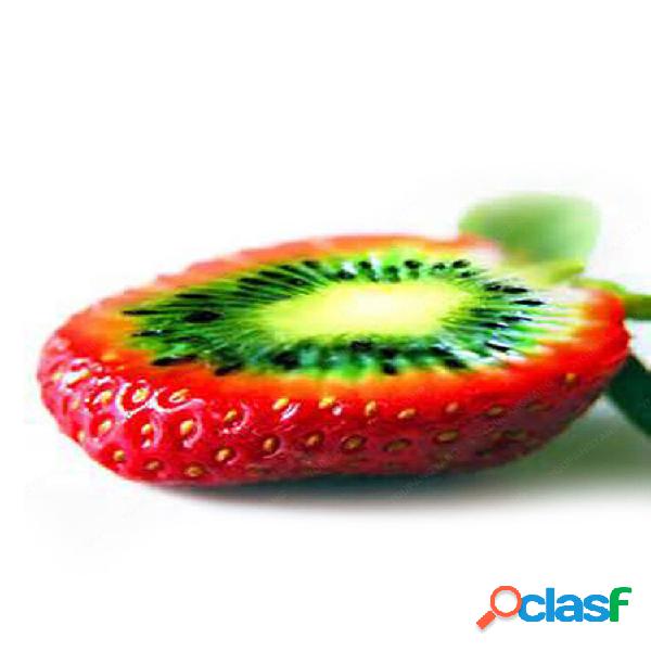 100pcs Rare Strawberry Kiwi Seeds Orgânico Sweet Fruit