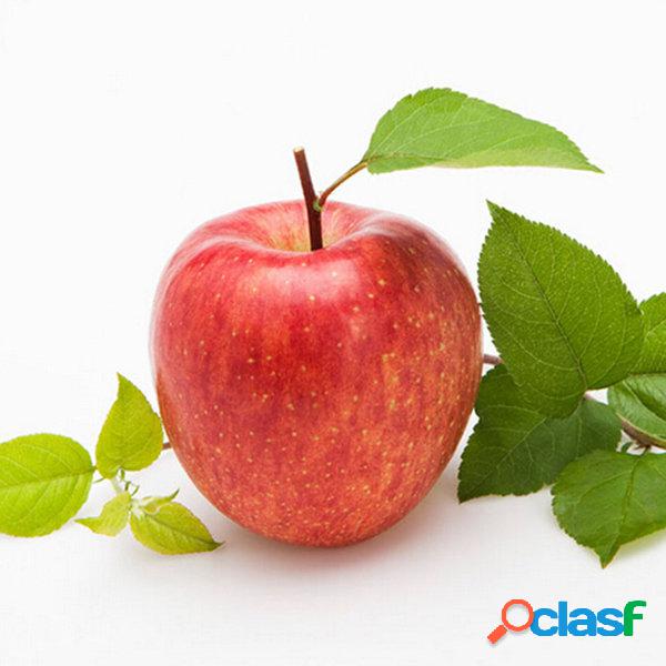Egrow 100 Pçs / pacote Maçã Sementes de Árvores de