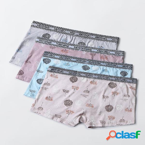 Multipacks masculino para presente Caixa Algodão estampado