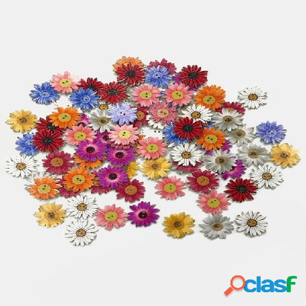 50 unidades de crisântemo de madeira Botões lindas flores