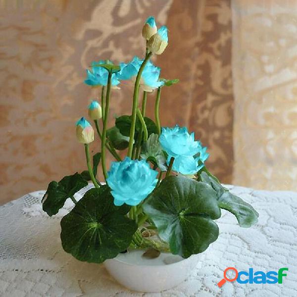 Egrow 5Pcs Lotus Seeds Blue Green Bowl Lotus Water Lily