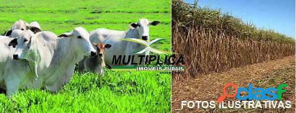 Fazenda Ituiutaba MG / Pecuária, Cana / 750,2 ha / R$