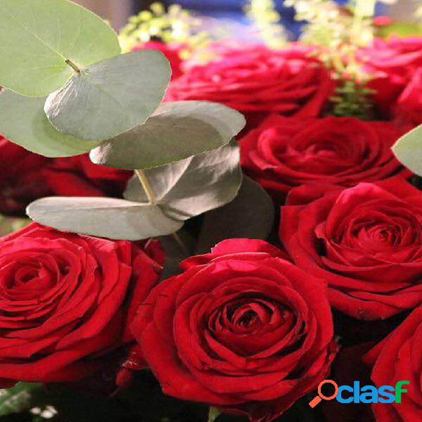 Egrow 100 Pcs Raro Rose sementes Cor Misturada Jardim de